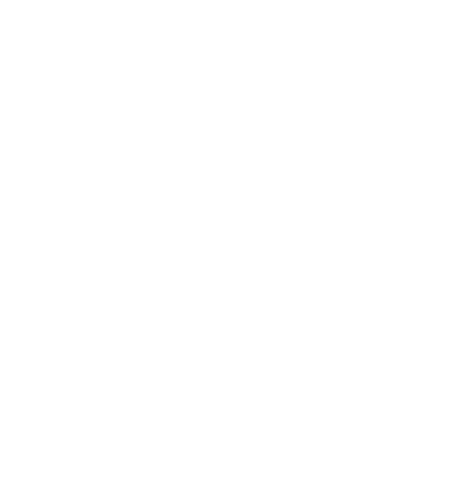 IDM Wireless Icon White